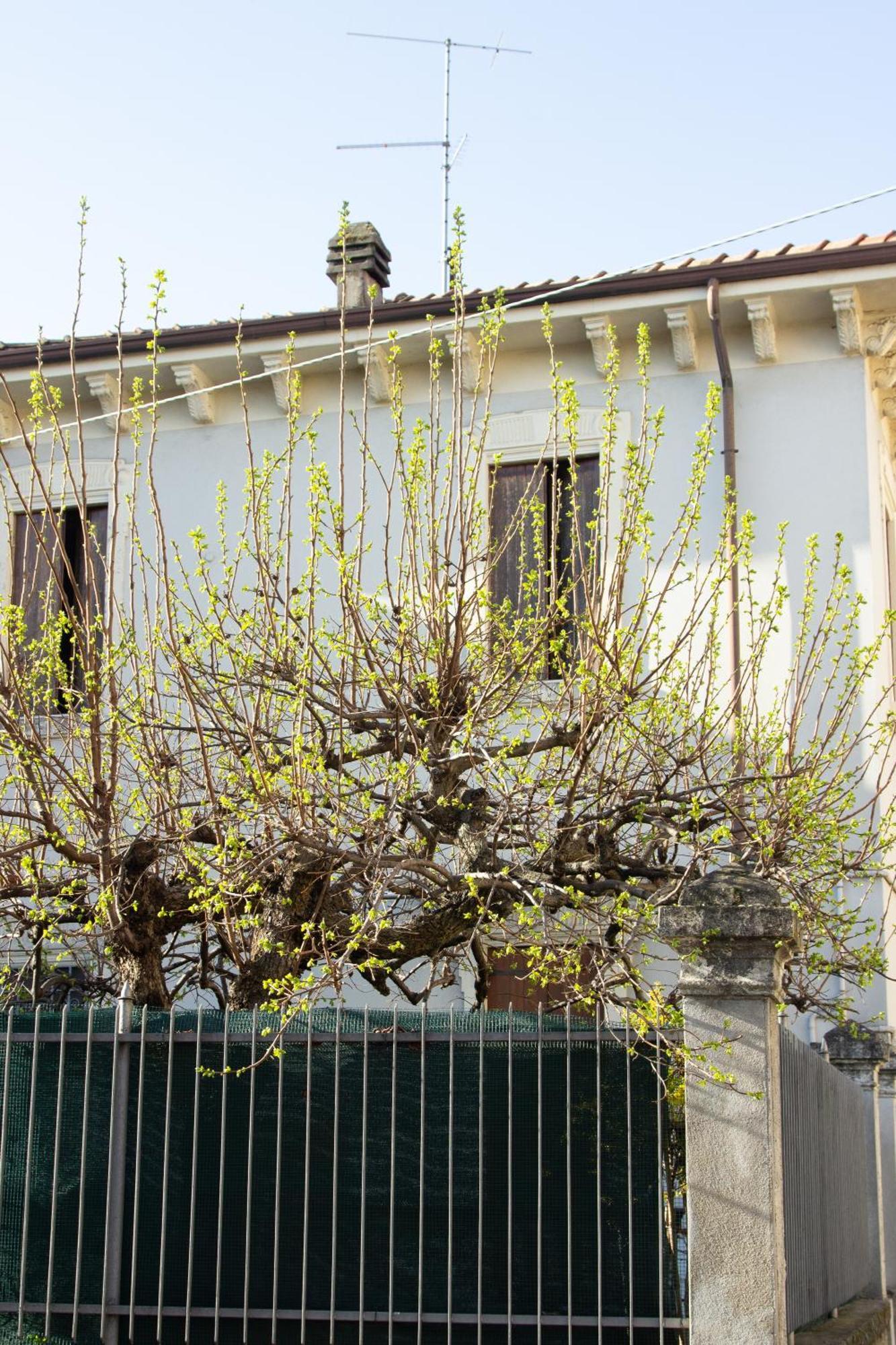 Verona Nest Экстерьер фото